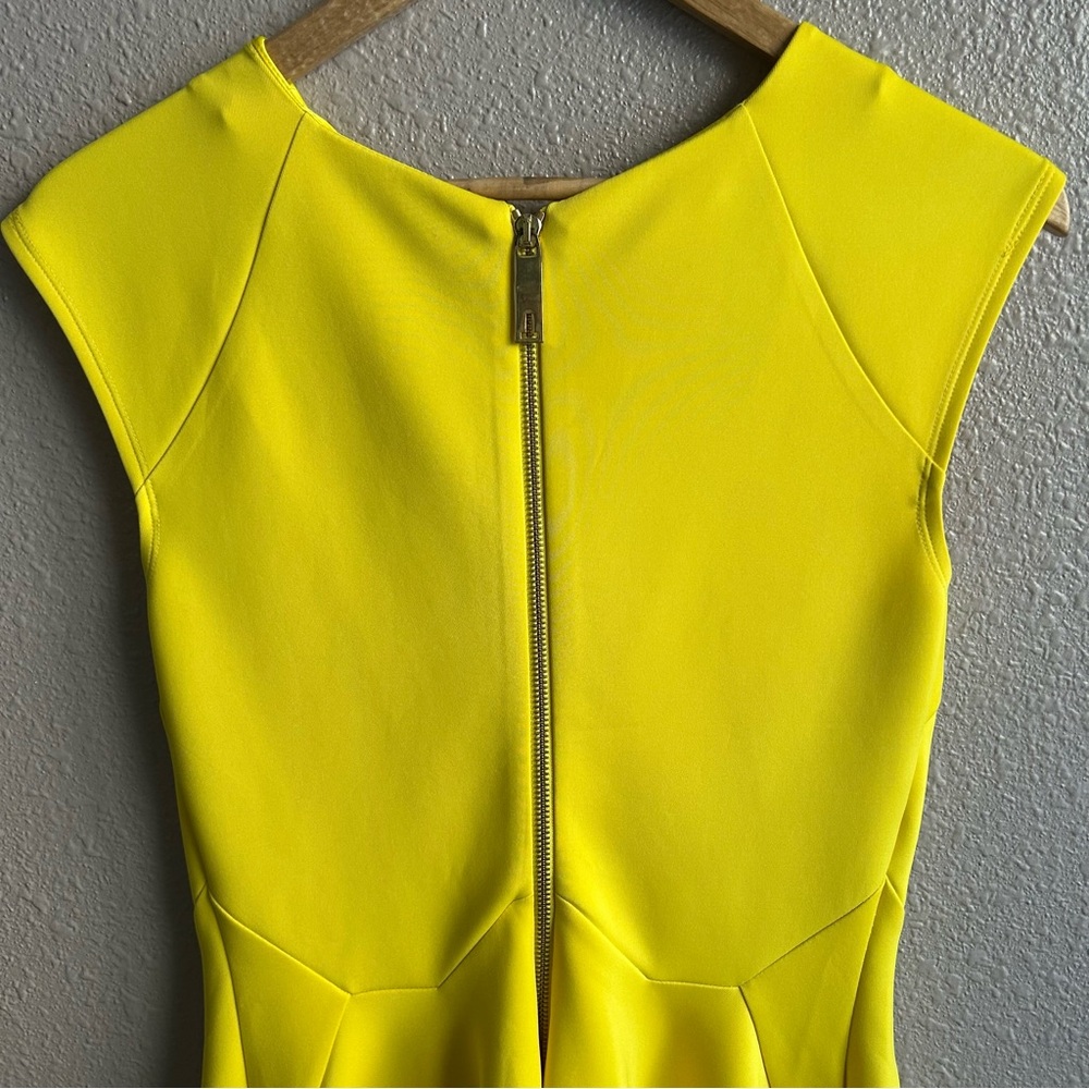 Ted Baker London Sew In Love Yellow Arwyn Panelled Sleeveless Skater‎ Dress - Picture 7 of 13